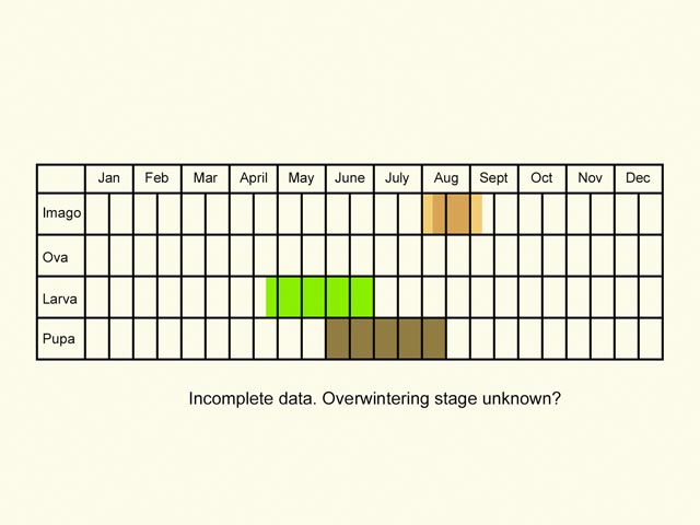  Life stages table Copyright Martin Evans 