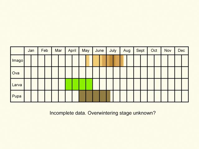 Life stages table Copyright Martin Evans 