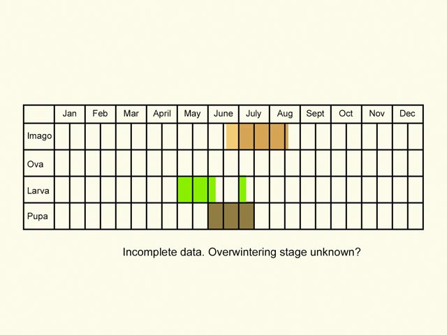  Life stages table Copyright Martin Evans 
