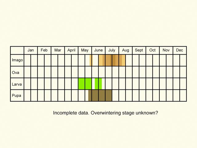  Life stages table Copyright Martin Evans 