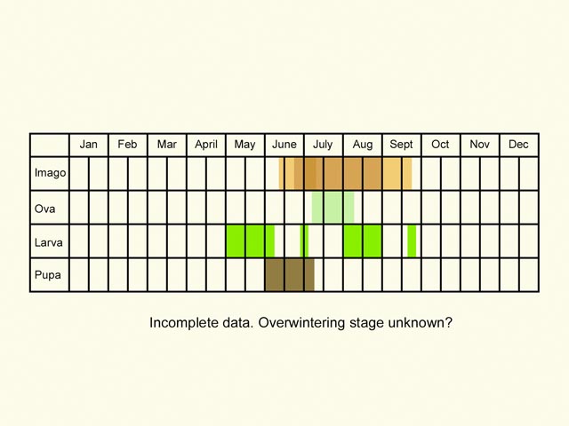  Life stages table Copyright Martin Evans 