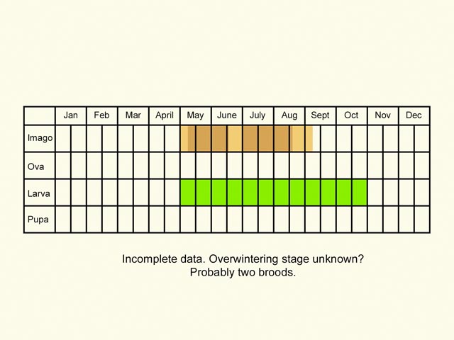  Life stages table Copyright Martin Evans 