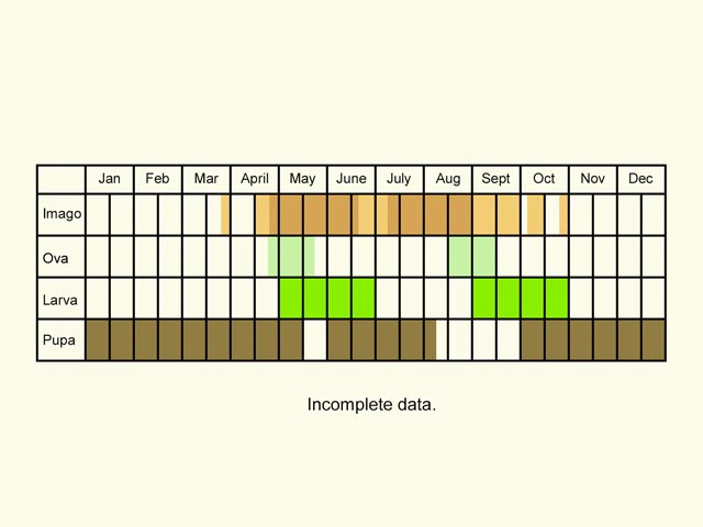  Life stages table Copyright Martin Evans 