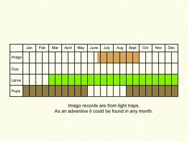  Life stages table Copyright Martin Evans 