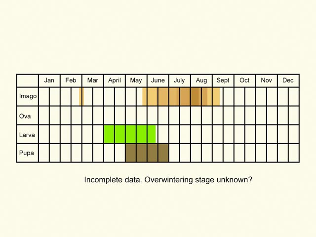  Life stages table Copyright Martin Evans 