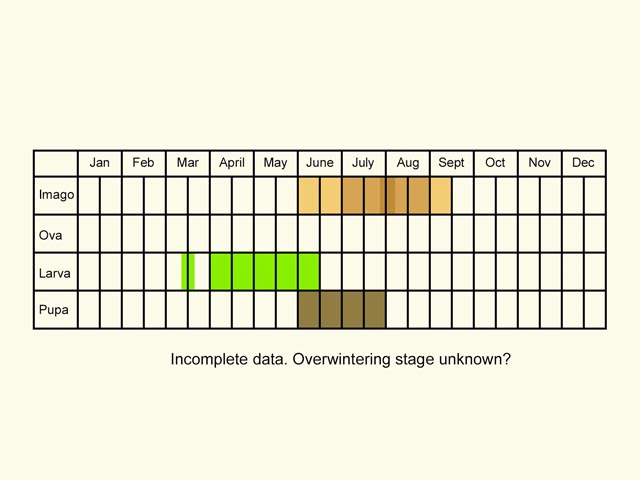  Life stages table Copyright Martin Evans 
