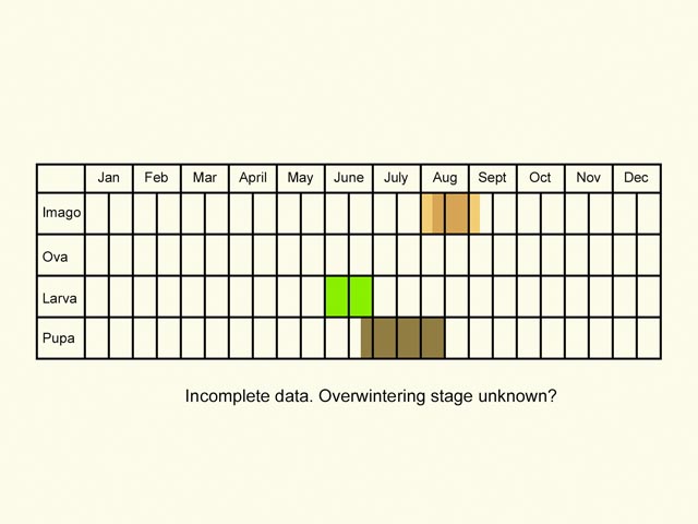  Life stages table Copyright Martin Evans 