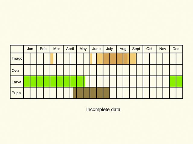  Life stages table Copyright Martin Evans 