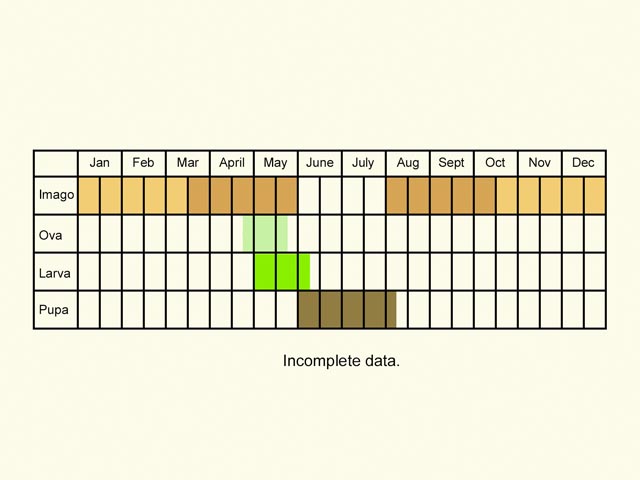  Life stages table Copyright Martin Evans 