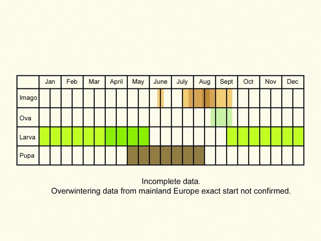  Life stages table Copyright Martin Evans 