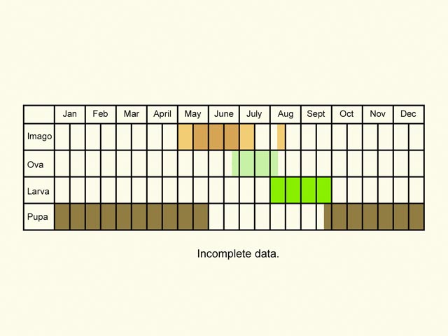  Life stages table Copyright Martin Evans 