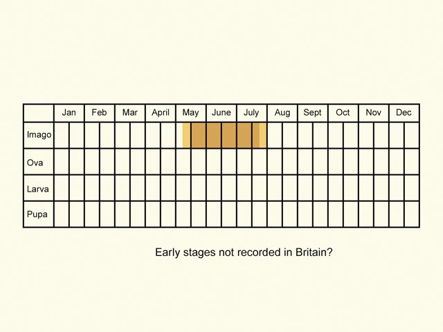 Life stages table Copyright Martin Evans 
