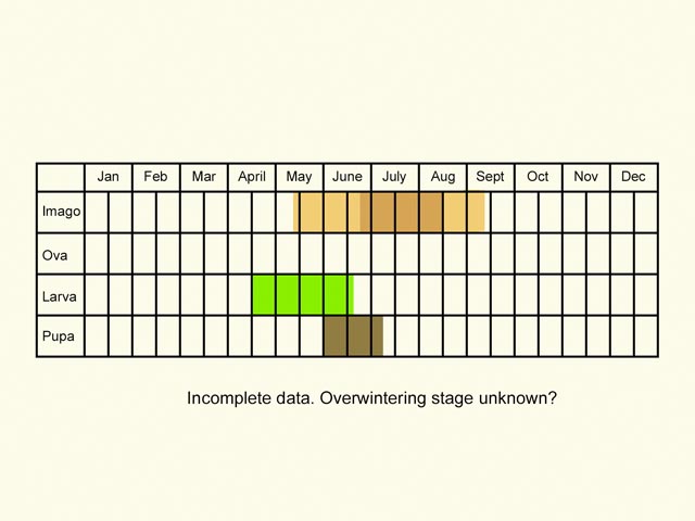  Life stages table Copyright Martin Evans 