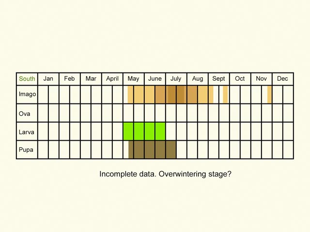  Life stages table Copyright Martin Evans 