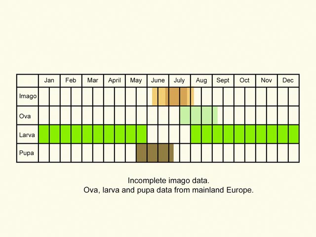  Life stages table Copyright Martin Evans 