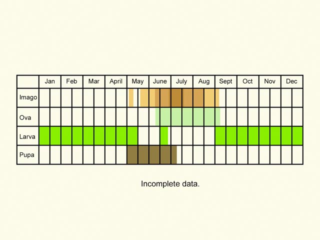  Life stages table Copyright Martin Evans 