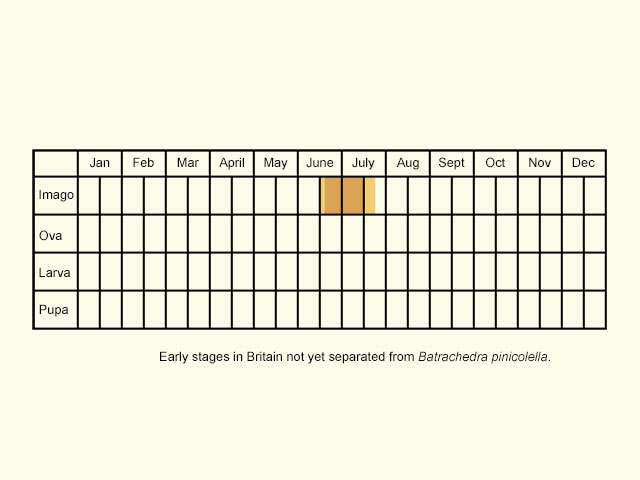  Life stages table Copyright Martin Evans 