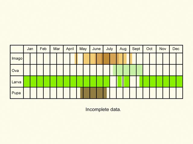  Life stages table Copyright Martin Evans 