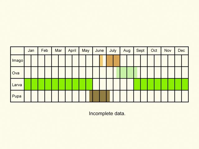  Life stages table Copyright Martin Evans 