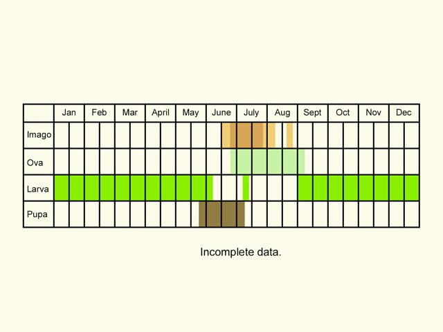  Life stages table Copyright Martin Evans 