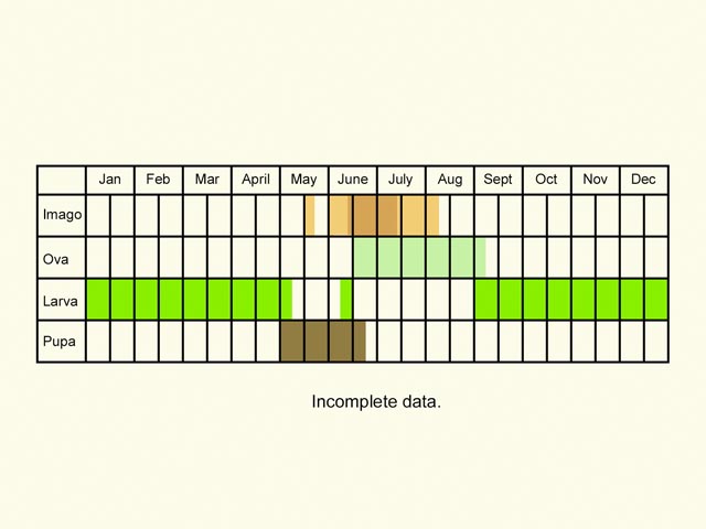  Life stages table Copyright Martin Evans 