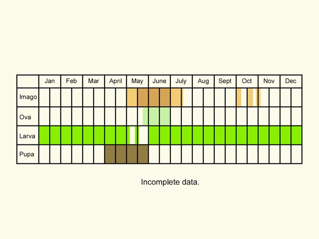  Life stages table Copyright Martin Evans 