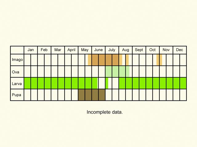  Life stages table Copyright Martin Evans 