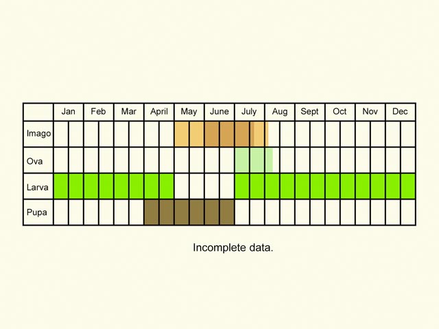  Life stages table Copyright Martin Evans 