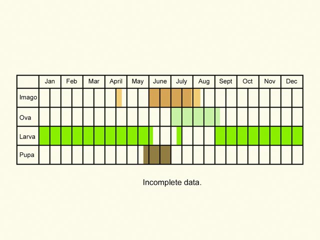  Life stages table Copyright Martin Evans 