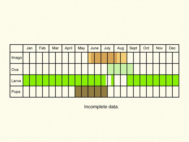  Life stages table Copyright Martin Evans 