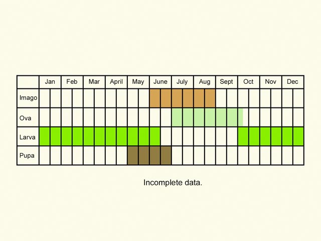  Life stages table Copyright Martin Evans 