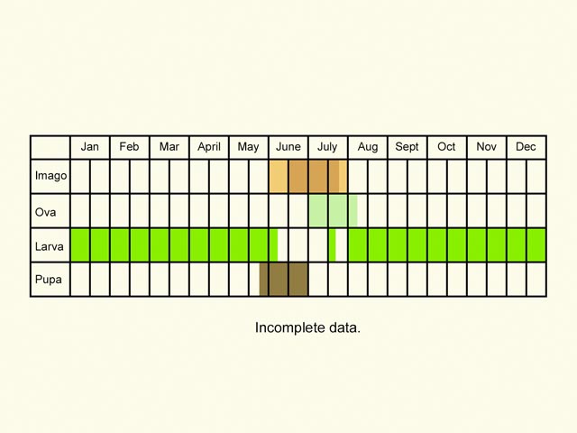  Life stages table Copyright Martin Evans 