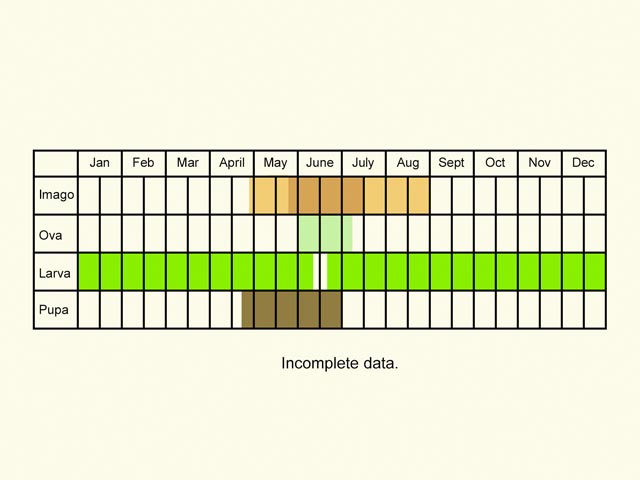  Life stages table Copyright Martin Evans 