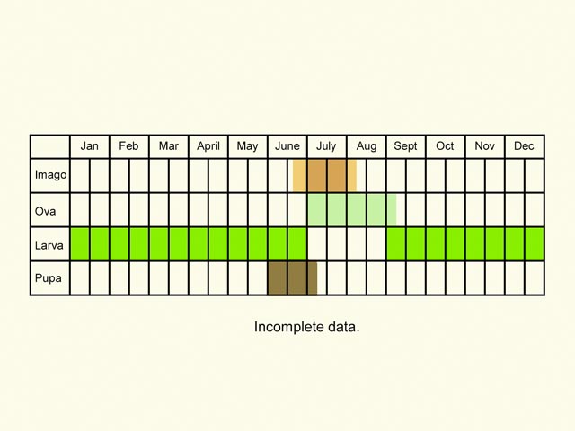  Life stages table Copyright Martin Evans 