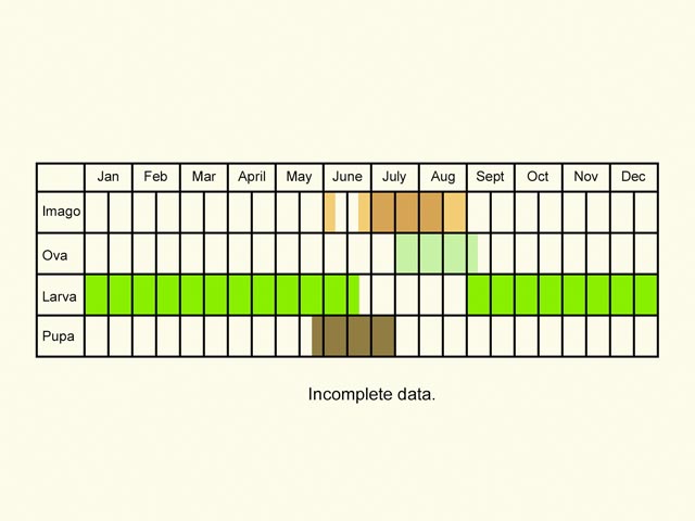  Life stages table Copyright Martin Evans 