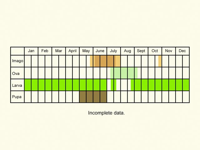  Life stages table Copyright Martin Evans 