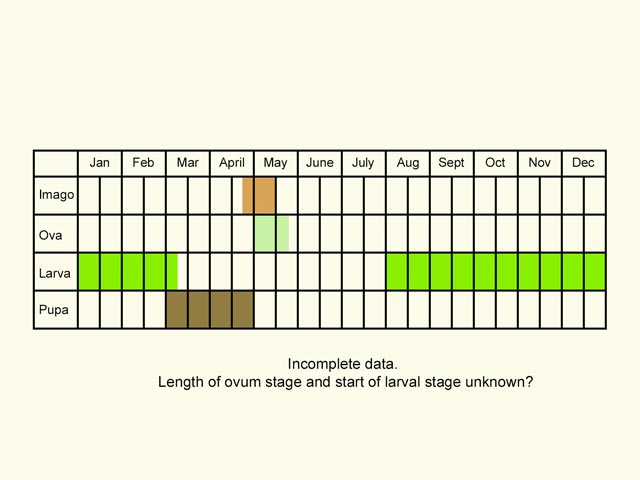  Life stages table Copyright Martin Evans 
