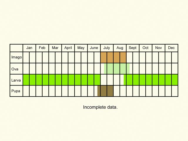  Life stages table Copyright Martin Evans 