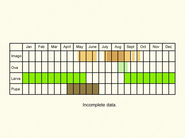  Life stages table Copyright Martin Evans 