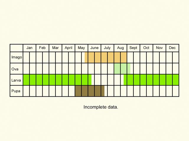 Life stages table Copyright Martin Evans 