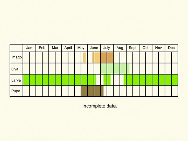  Life stages table Copyright Martin Evans 