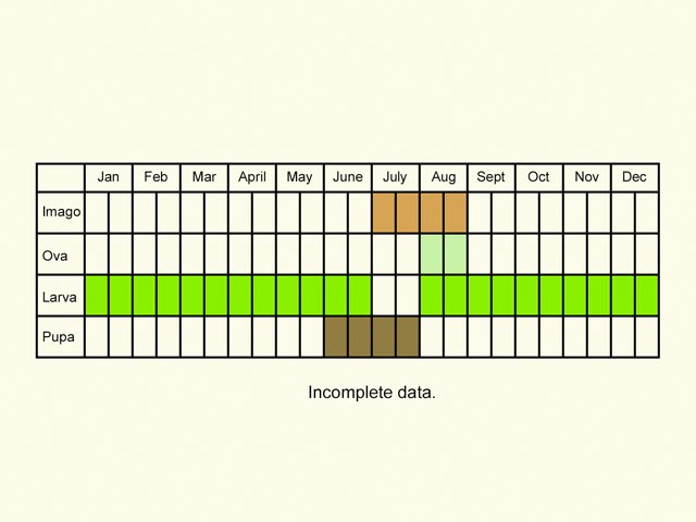  Life stages table Copyright Martin Evans 