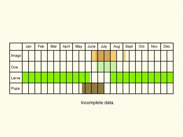  Life stages table Copyright Martin Evans 