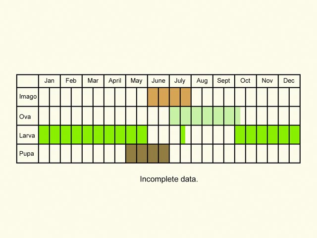  Life stages table Copyright Martin Evans 