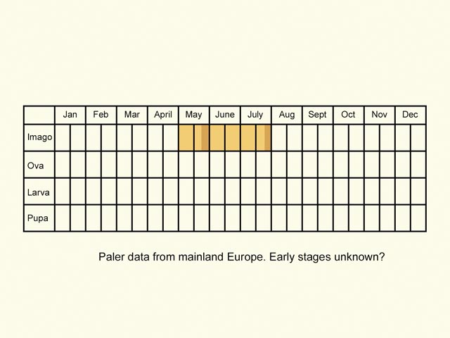  Life stages table Copyright Martin Evans 