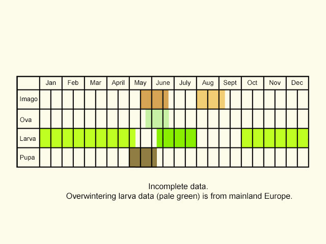  Life stages table Copyright Martin Evans 