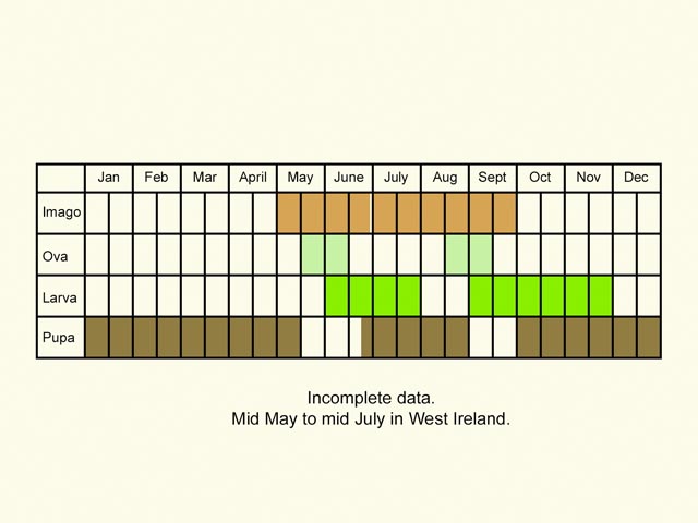 Life stages table Copyright Martin Evans 