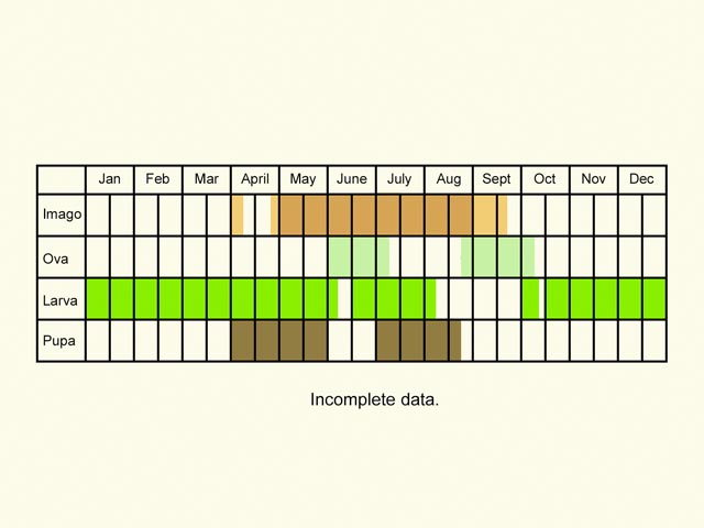  Life stages table Copyright Martin Evans 