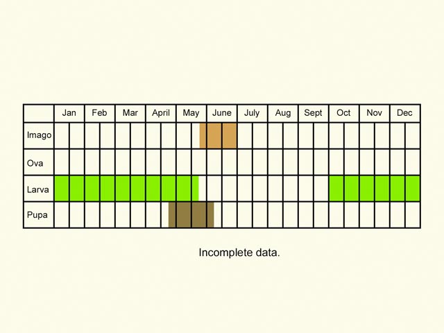  Life stages table Copyright Martin Evans 