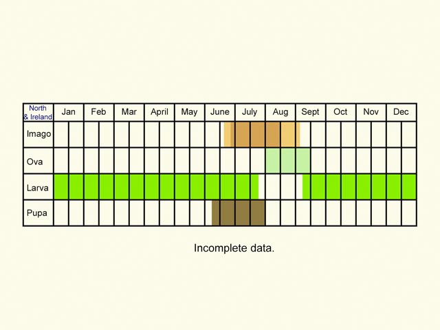  Life stages table north Copyright Martin Evans 